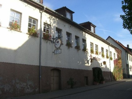 Фото: Bierkeller